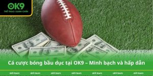 Cá cược bóng bầu dục tại OK9 – Minh bạch và hấp dẫn