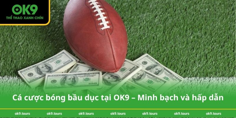 Cá cược bóng bầu dục tại OK9 – Minh bạch và hấp dẫn