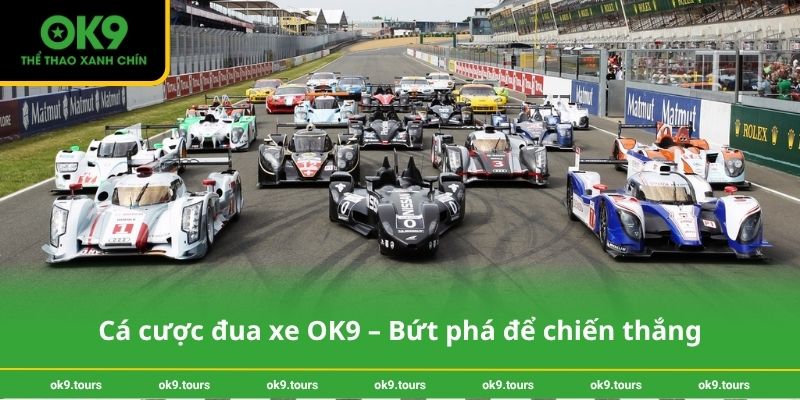 Cá cược đua xe OK9 – Bứt phá để chiến thắng