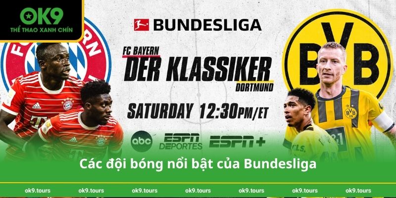 Các đội bóng nổi bật của Bundesliga