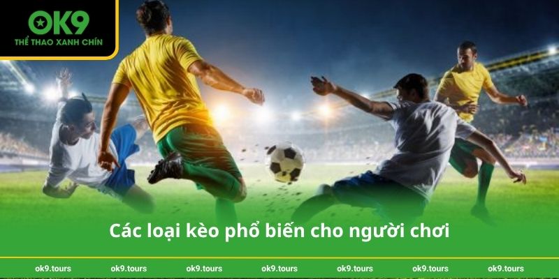 Các loại kèo phổ biến cho người chơi