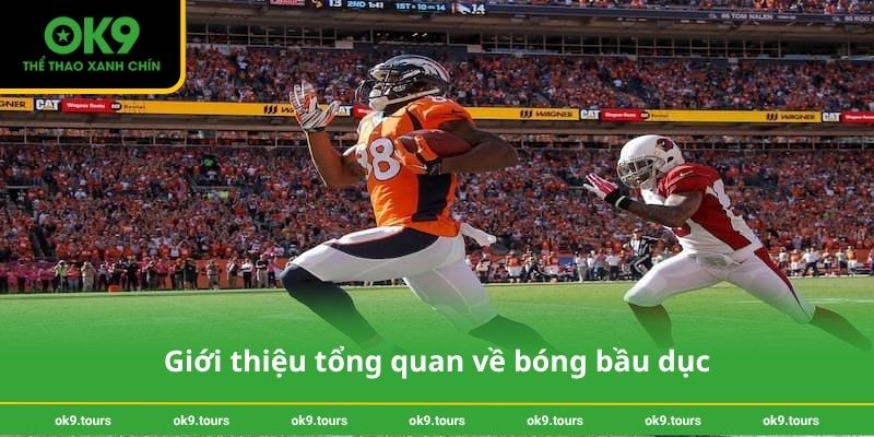 Giới thiệu tổng quan về bóng bầu dục
