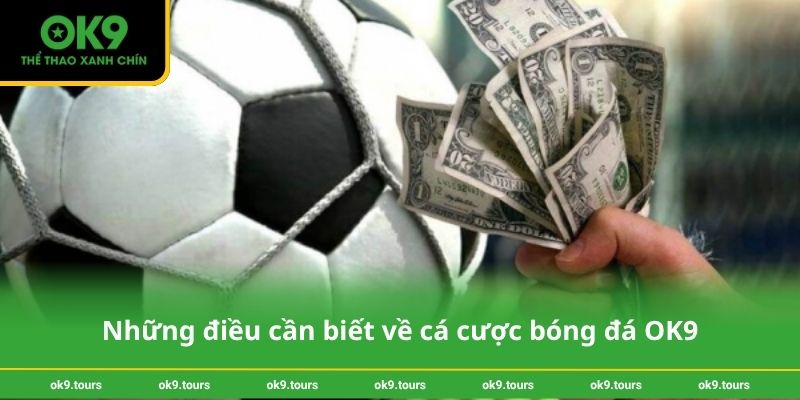Những điều cần biết về cá cược bóng đá OK9