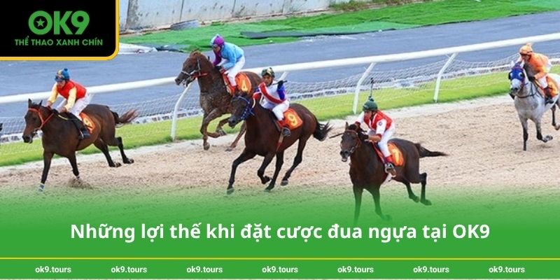 Những lợi thế khi đặt cược đua ngựa tại OK9