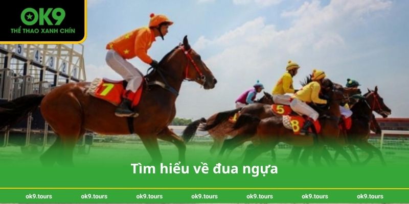 Tìm hiểu về đua ngựa