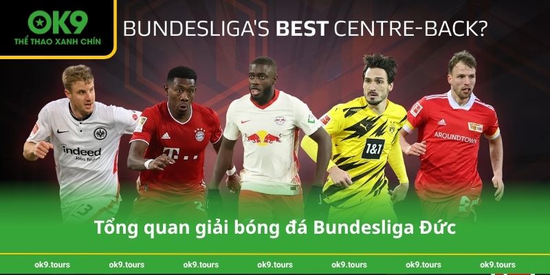 Tổng quan giải bóng đá Bundesliga Đức