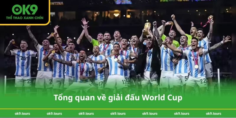Tổng quan về giải đấu World Cup