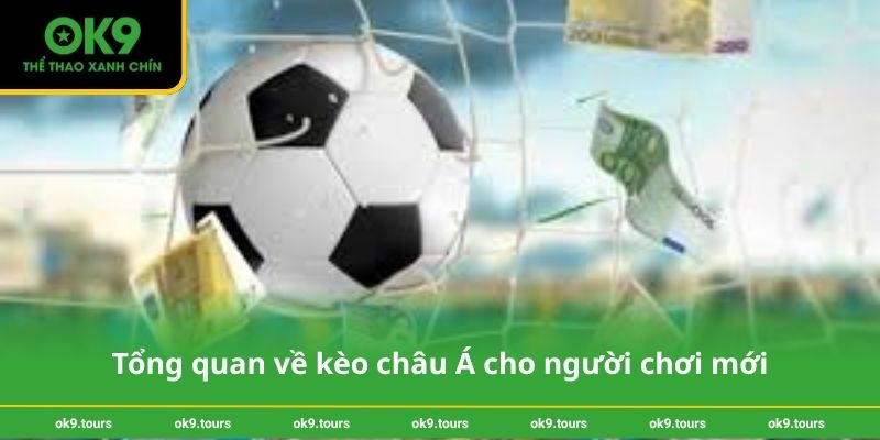 Tổng quan về kèo châu Á cho người chơi mới
